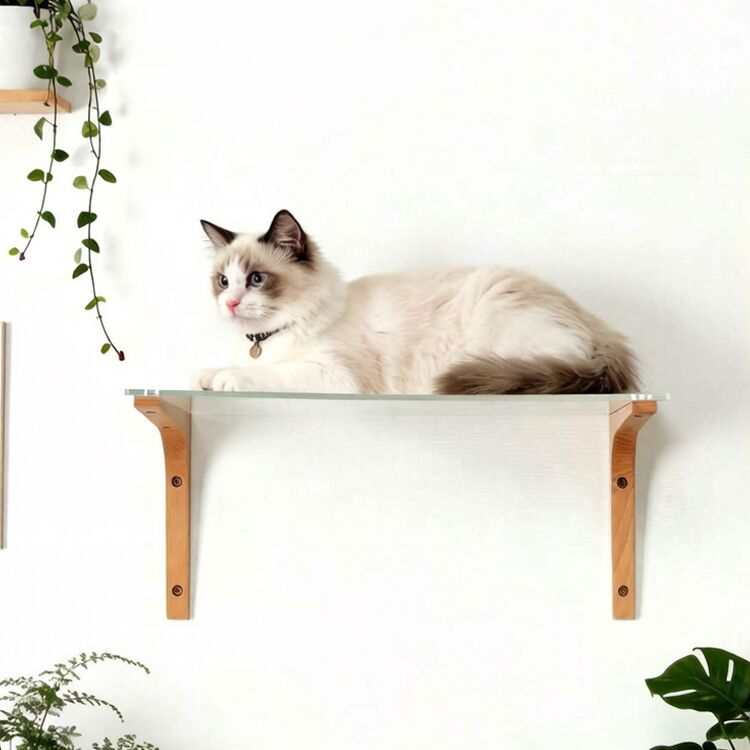 Acrylic Cat Shelves And Perches For Wall 17×12×7