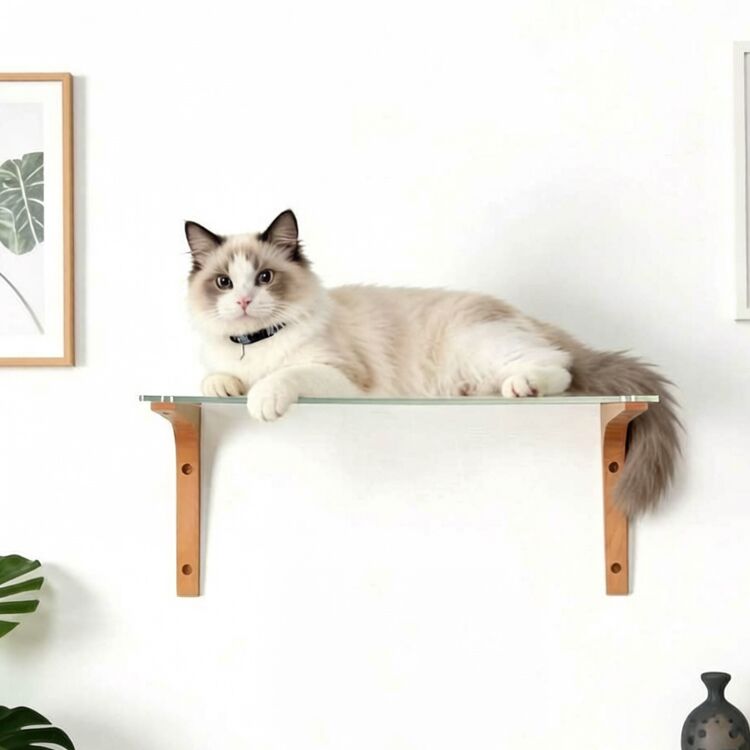 Acrylic Cat Shelves And Perches For Wall 17×12×7" - Image 3