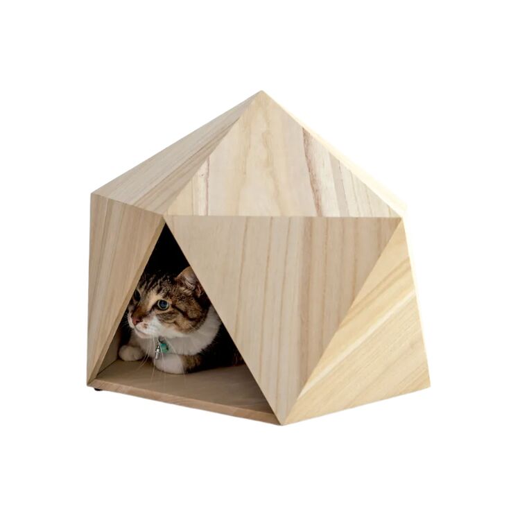 Triangular Entry Lightweight Wooden Pet House