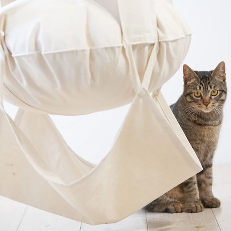 Indoor Cat Swing Hammock Bed with Climbing Shelf