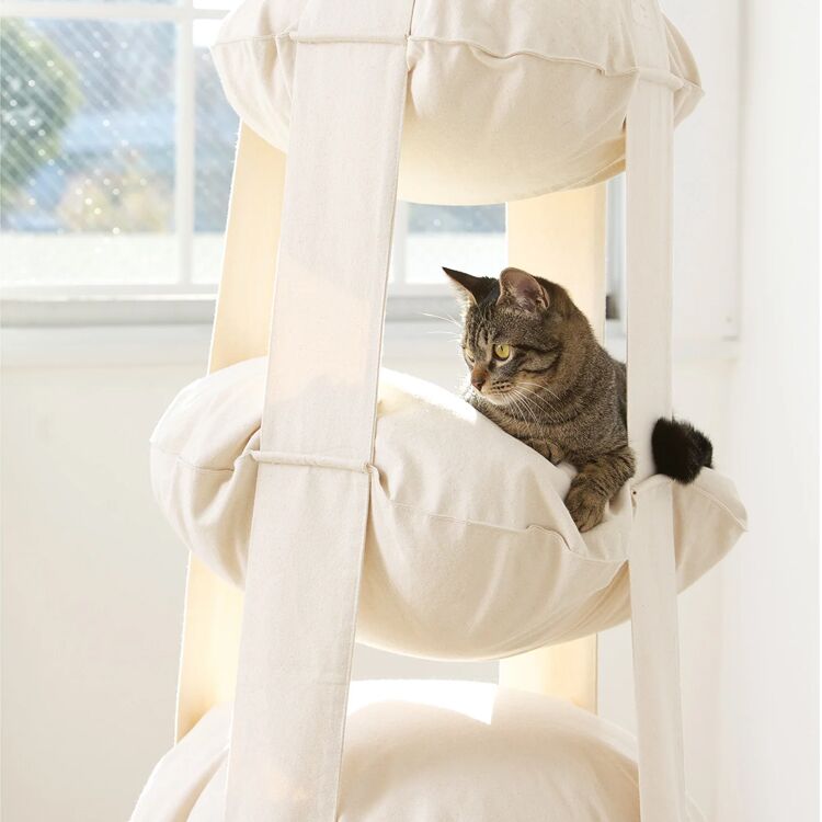 Indoor Cat Swing Hammock Bed with Climbing Shelf