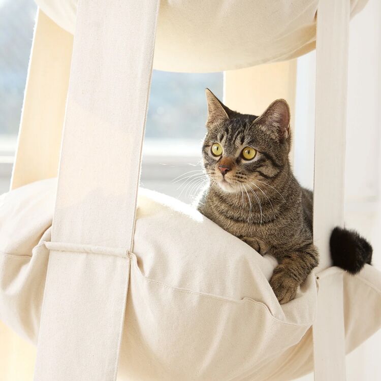 Indoor Cat Swing Hammock Bed with Climbing Shelf