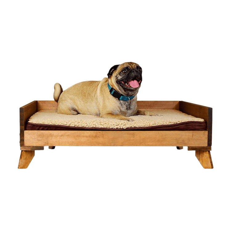 Elevated Wooden Dog Bed Frame with Comfort Foam Mattress