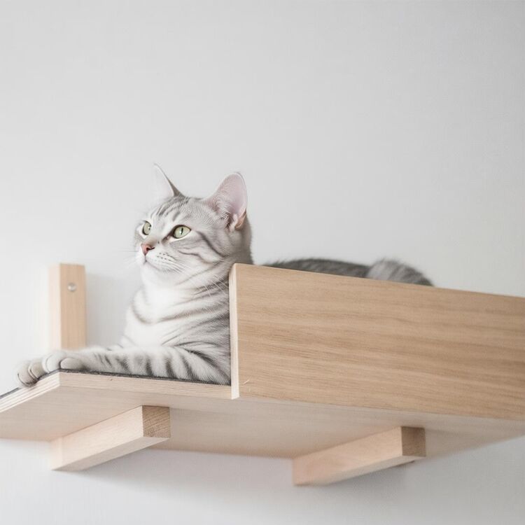 Plywood Cat Shelves Wall Mounted Perch 50×25×17cm